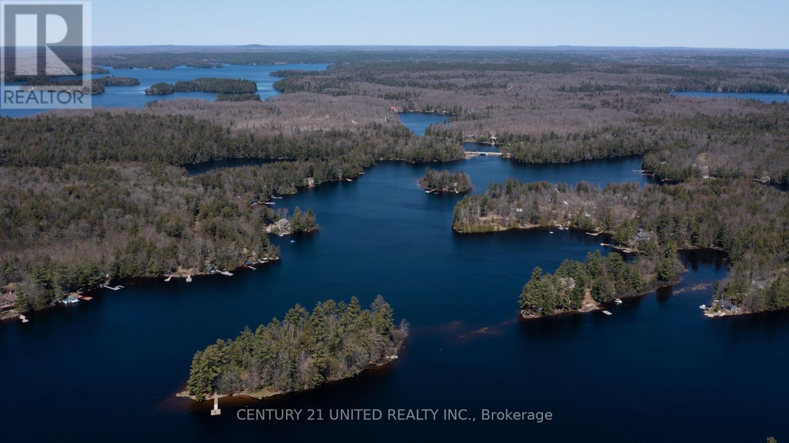 45 Fire Route 223, Trent Lakes, Ontario  K0L 1J0 - Photo 4 - X12368165