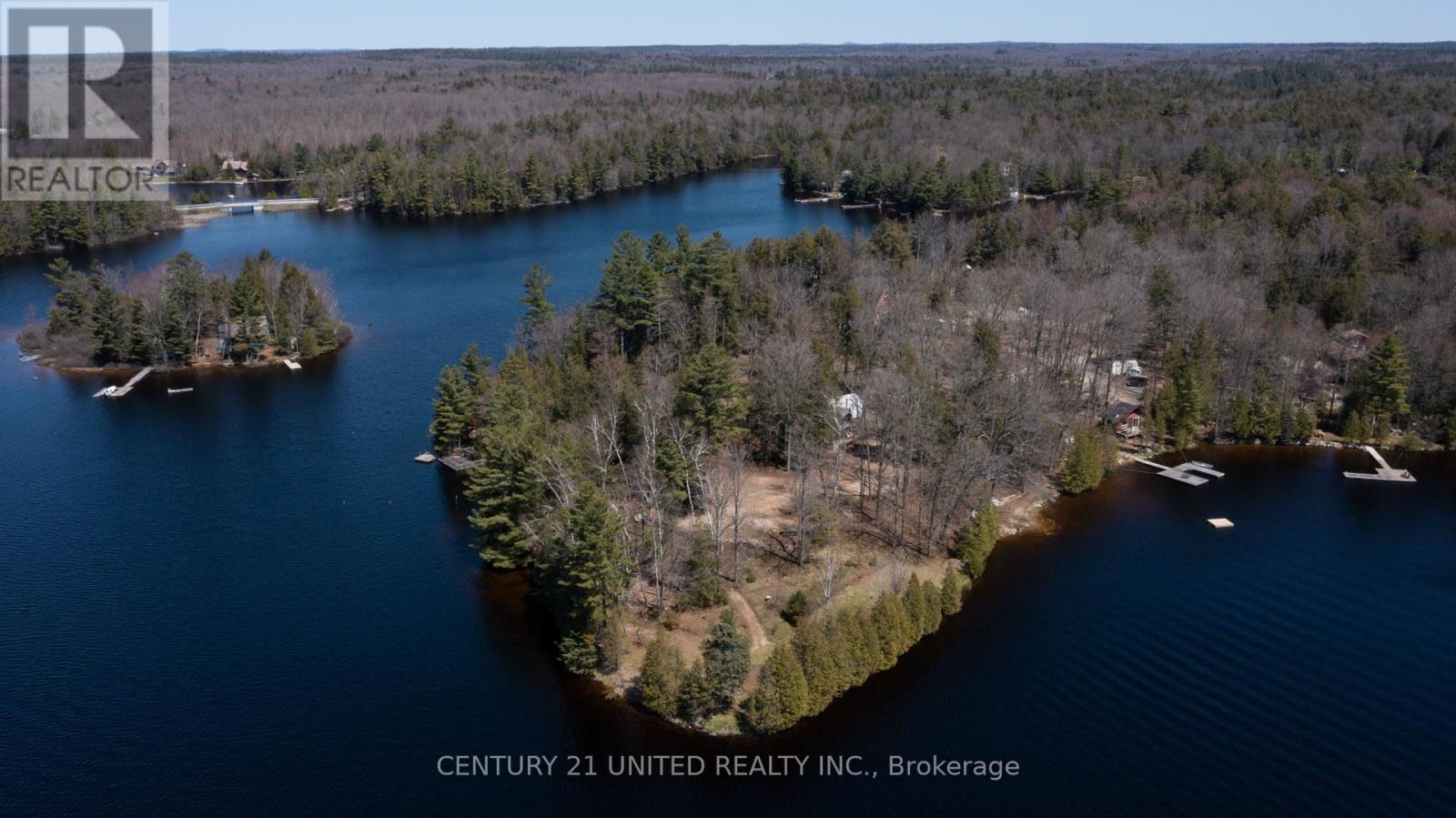 45 Fire Route 223, Trent Lakes, Ontario  K0L 1J0 - Photo 5 - X12368165