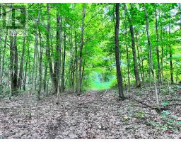 0 3RD LINE, Mulmur, Ontario