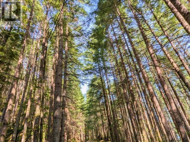 Block B Anderson Bay Road, Texada Island, British Columbia   - Photo 22 - 19305