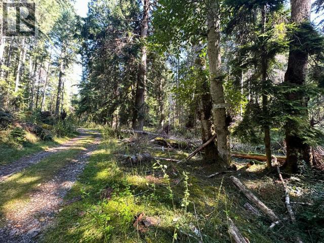 Block B Anderson Bay Road, Texada Island, British Columbia   - Photo 23 - 19305