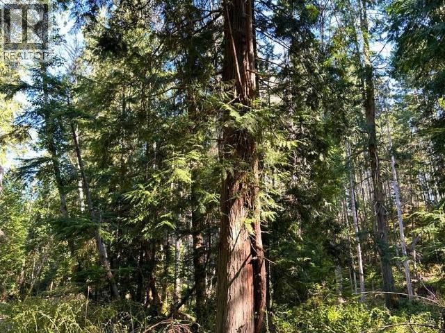 Block B Anderson Bay Road, Texada Island, British Columbia   - Photo 29 - 19305
