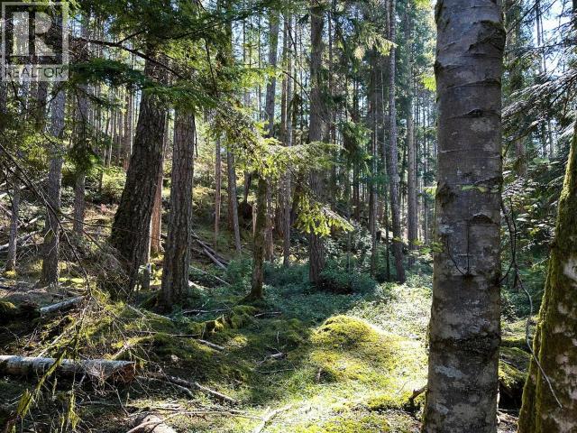 Block B Anderson Bay Road, Texada Island, British Columbia   - Photo 31 - 19305