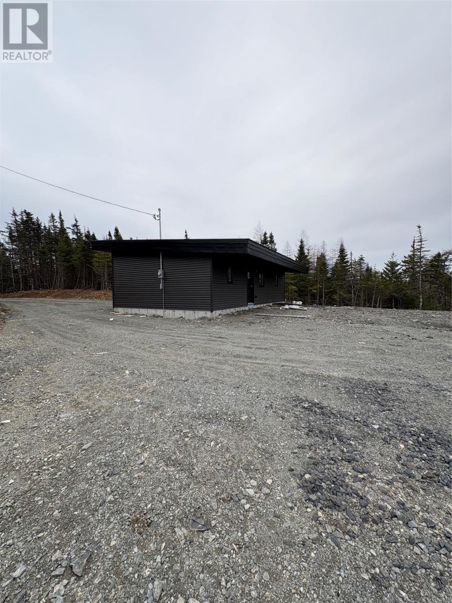 212 Eco Drive, Whitbourne, Newfoundland & Labrador  A0B 3k0 - Photo 3 - 1289776