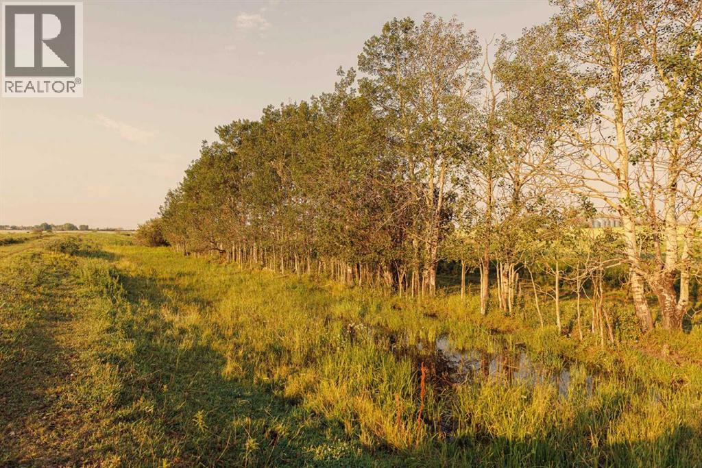 Parcel 8 Range Road 271 Just South Of Highway 9., Rural Rocky View County, Alberta  T0M 1G0 - Photo 7 - A2158857