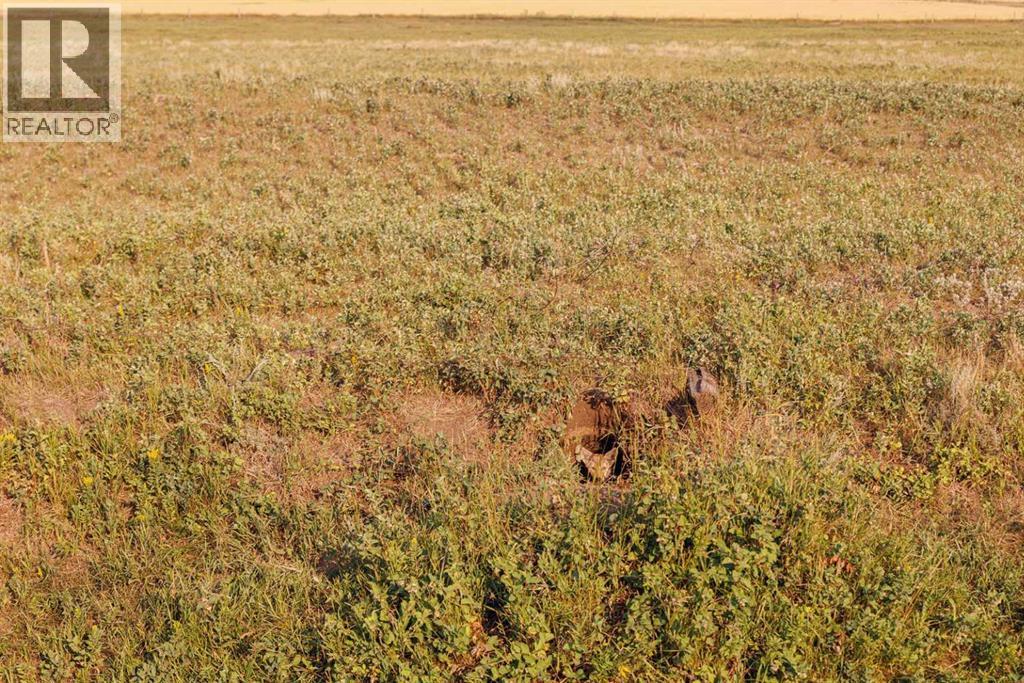 Parcel 8 Range Road 271 Just South Of Highway 9., Rural Rocky View County, Alberta  T0M 1G0 - Photo 8 - A2158857