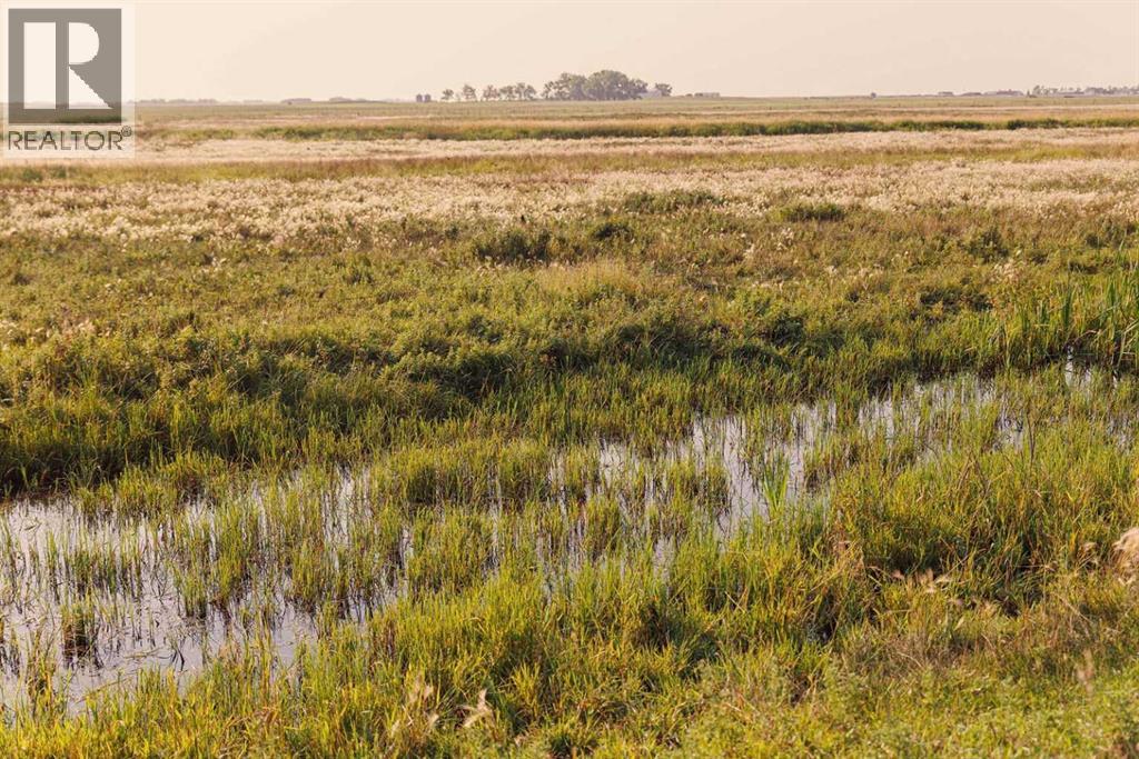 Parcel 8 Range Road 271 Just South Of Highway 9., Rural Rocky View County, Alberta  T0M 1G0 - Photo 4 - A2158857