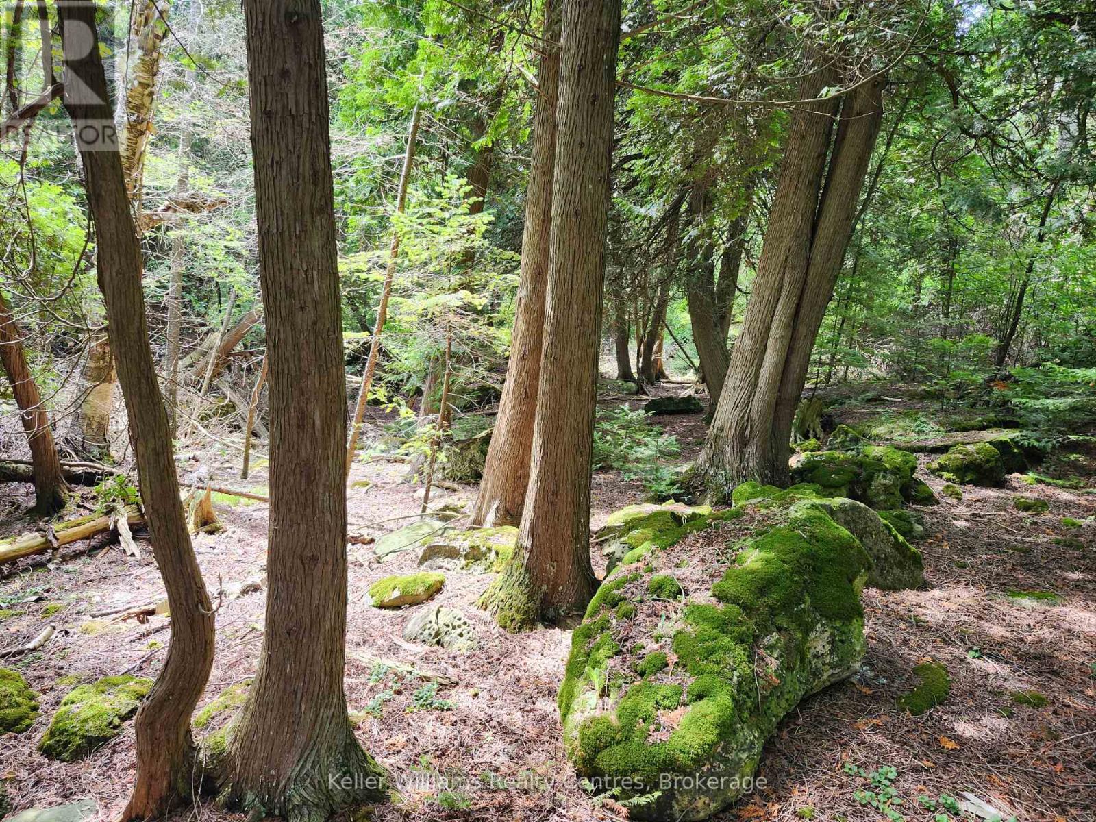 23 Rabbit, South Bruce Peninsula, Ontario  N0H 2T0 - Photo 37 - X12311742