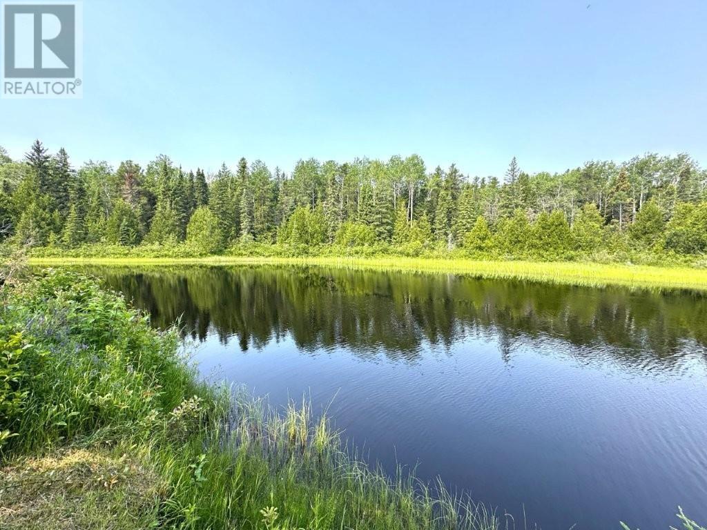 146 Dot Street, Beardmore, Ontario  P0T 2G0 - Photo 49 - TB252250