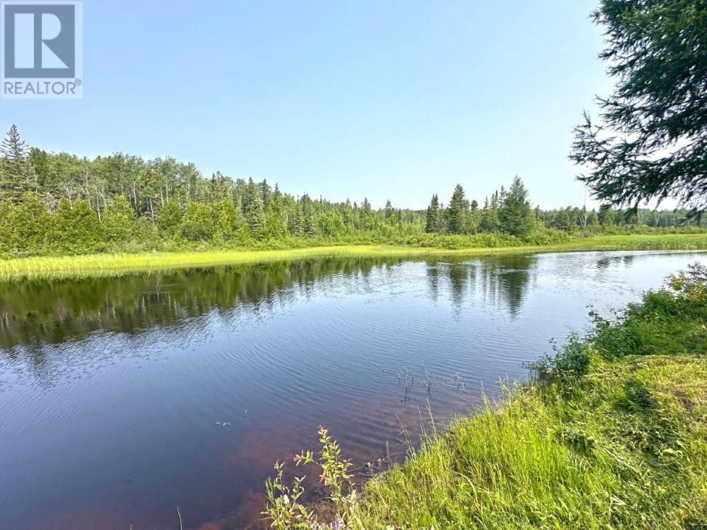 146 Dot Street, Beardmore, Ontario  P0T 2G0 - Photo 48 - TB252250