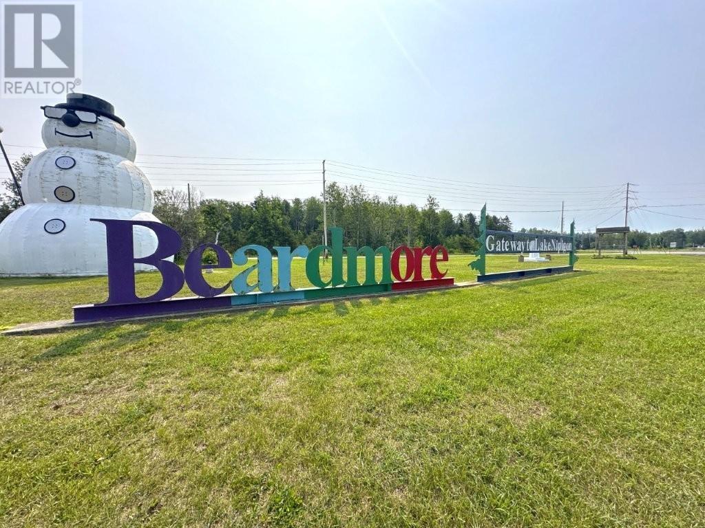 146 Dot Street, Beardmore, Ontario  P0T 2G0 - Photo 50 - TB252250