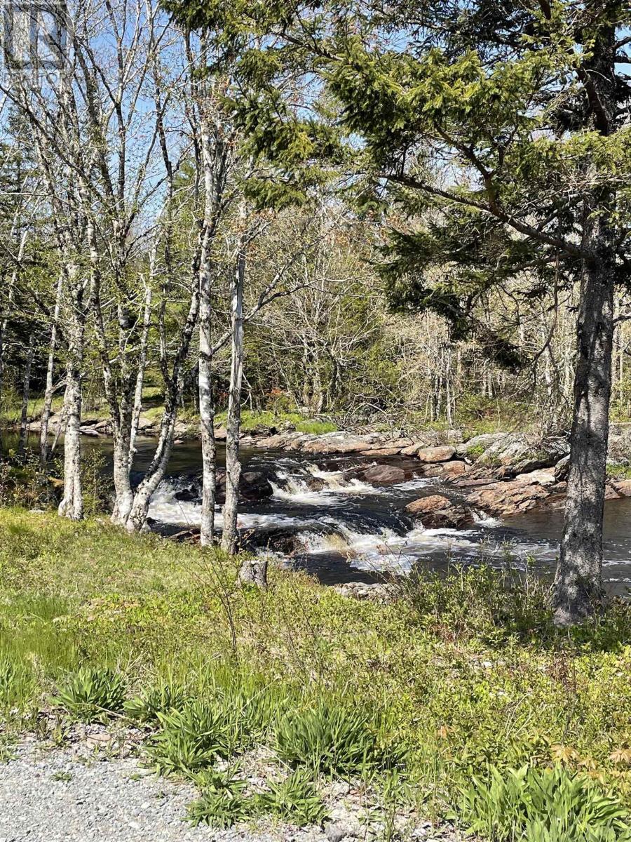 25 Ton Timber Hills Road, Moser River, Nova Scotia  B0J 2R0 - Photo 26 - 202506454