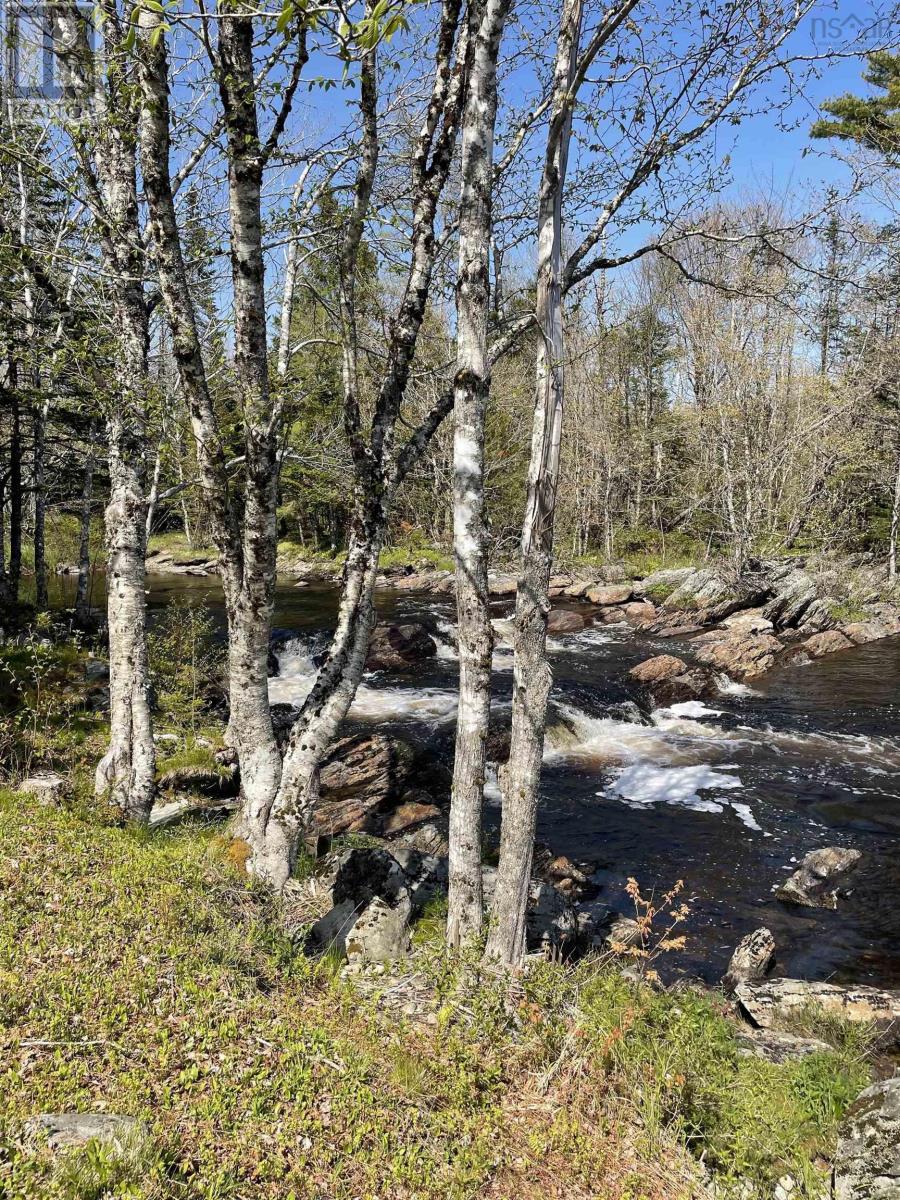 25 Ton Timber Hills Road, Moser River, Nova Scotia  B0J 2R0 - Photo 23 - 202506454