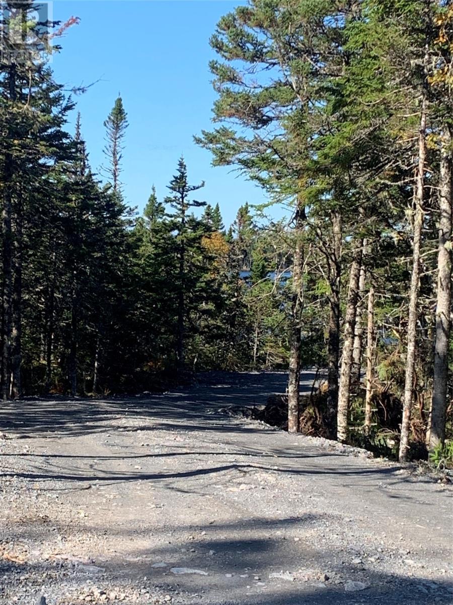 Lot 26 Halleran Trail, Brigus Junction, Newfoundland & Labrador  A0B 1G0 - Photo 2 - 1289800