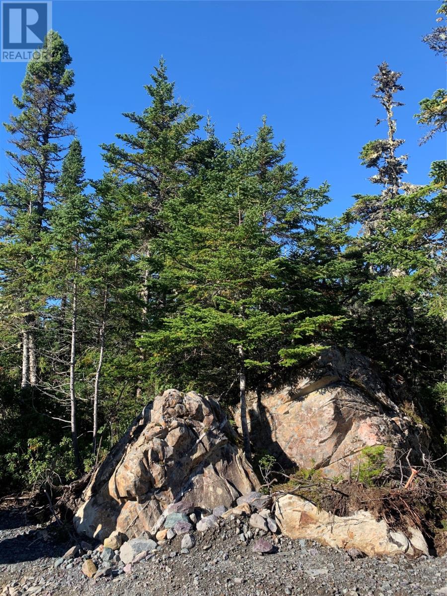 Lot 26 Halleran Trail, Brigus Junction, Newfoundland & Labrador  A0B 1G0 - Photo 4 - 1289800