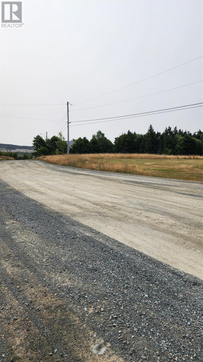 Lot 4 Cook's Lane, St. John's, Newfoundland & Labrador  A1A 5C6 - Photo 1 - 1289799