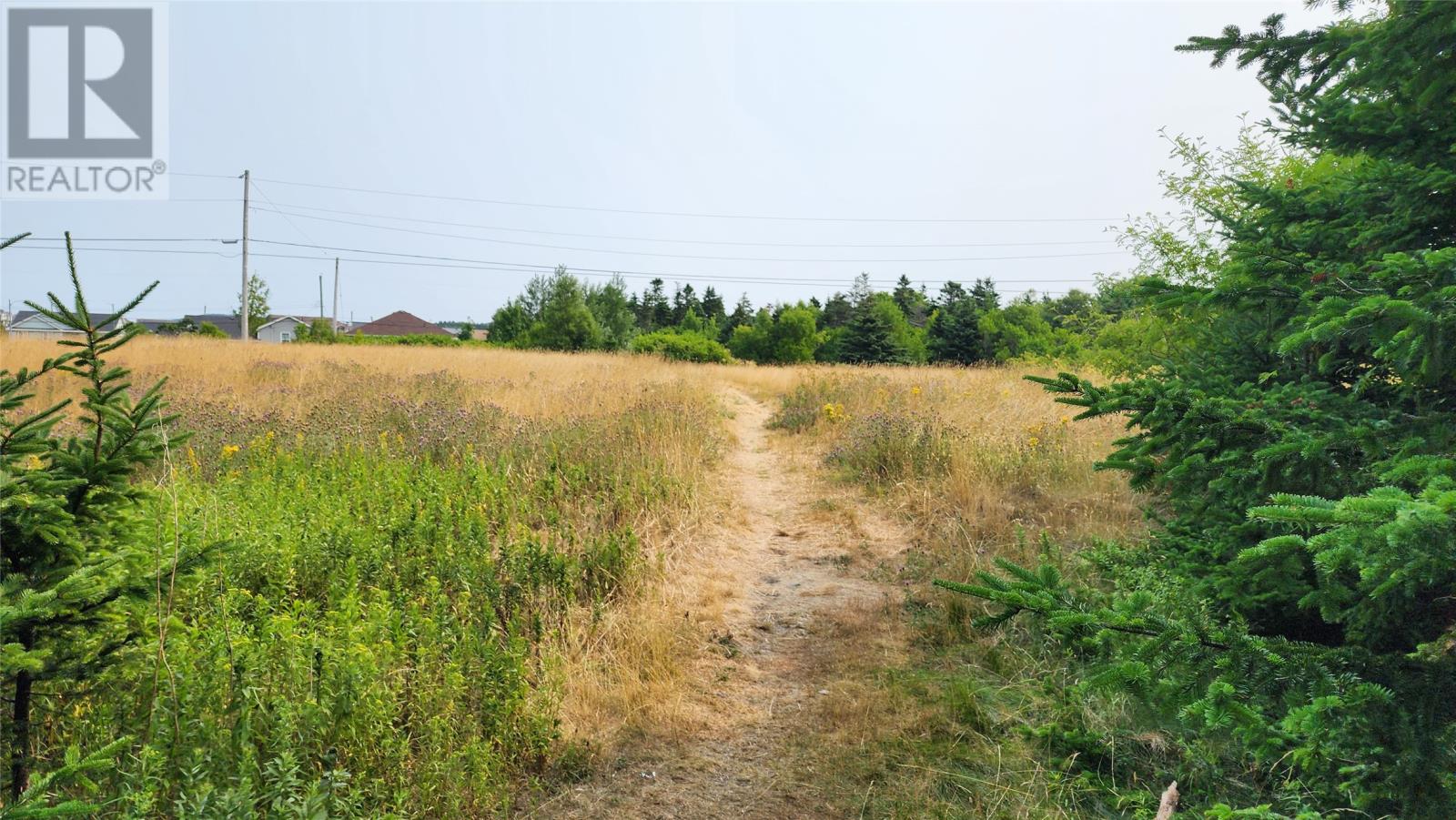 Lot 4 Cook's Lane, St. John's, Newfoundland & Labrador  A1A 5C6 - Photo 2 - 1289799