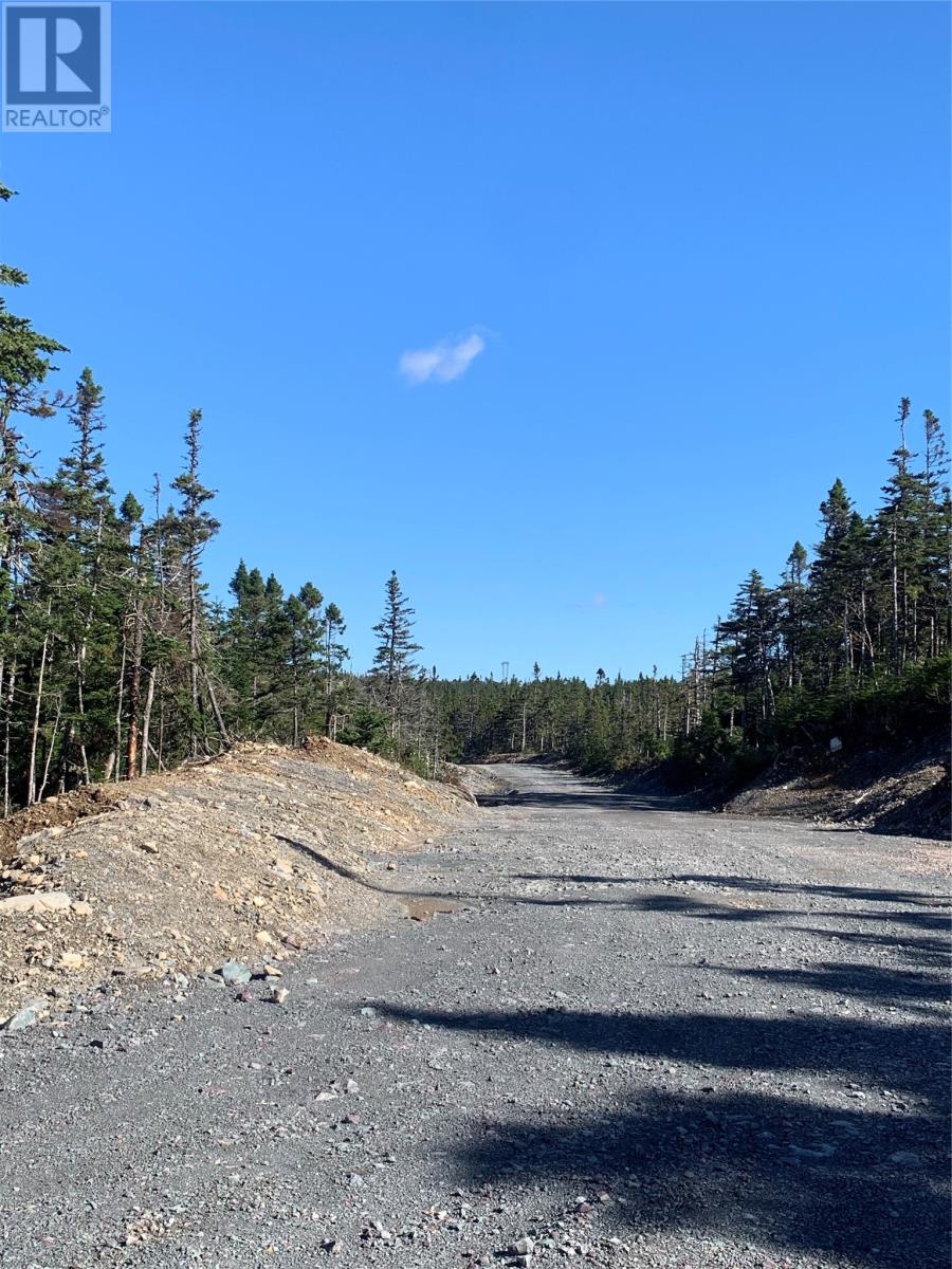 Lot 14 Halleran Trail, Brigus Junction, Newfoundland & Labrador  A0B 1G0 - Photo 6 - 1289796