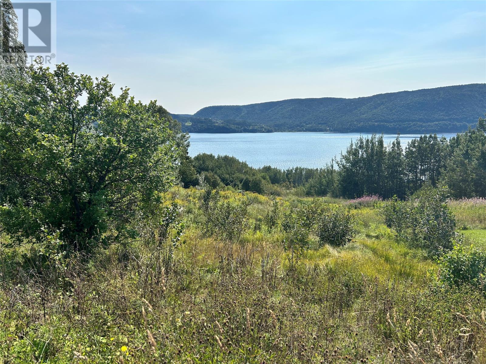 163 North Shore Highway, Meadows, Newfoundland & Labrador  A2H 6B9 - Photo 2 - 1289162