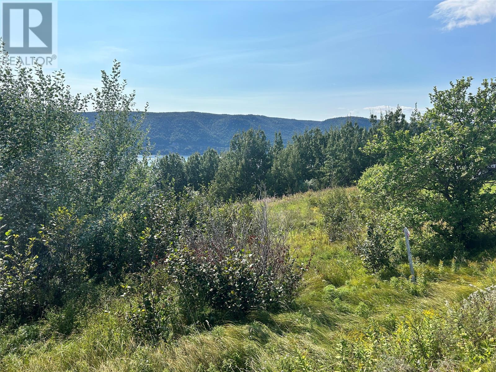 163 North Shore Highway, Meadows, Newfoundland & Labrador  A2H 6B9 - Photo 3 - 1289162