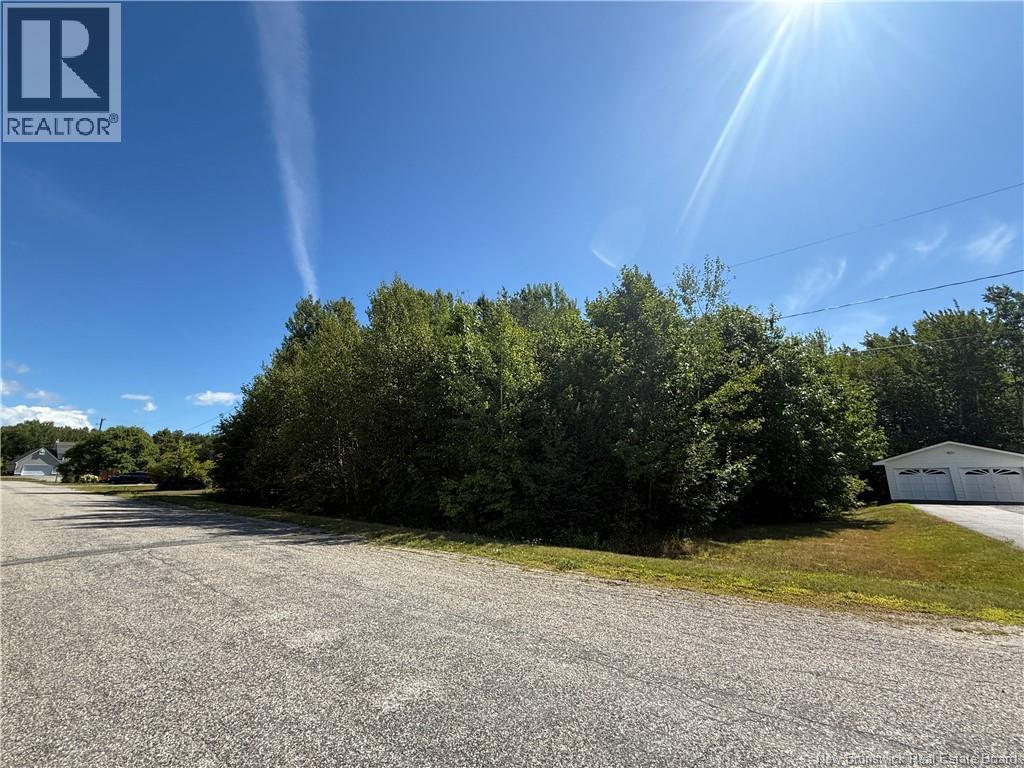 Quinn Street, Miramichi, New Brunswick  E1V 6J4 - Photo 1 - NB125704