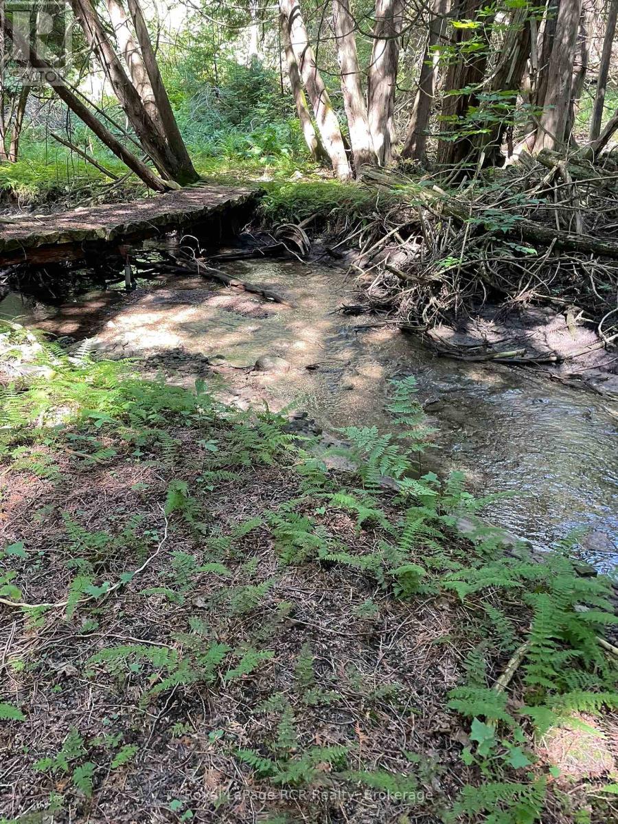 1922 Concession 4 Road, Adjala-Tosorontio, Ontario  L0G 1L0 - Photo 40 - N12368832