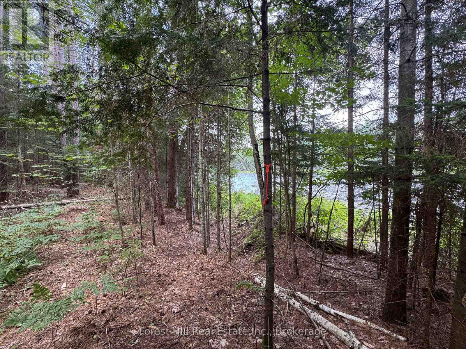 1130 Chetwynd Road, Armour, Ontario  P0A 1C0 - Photo 22 - X12292740