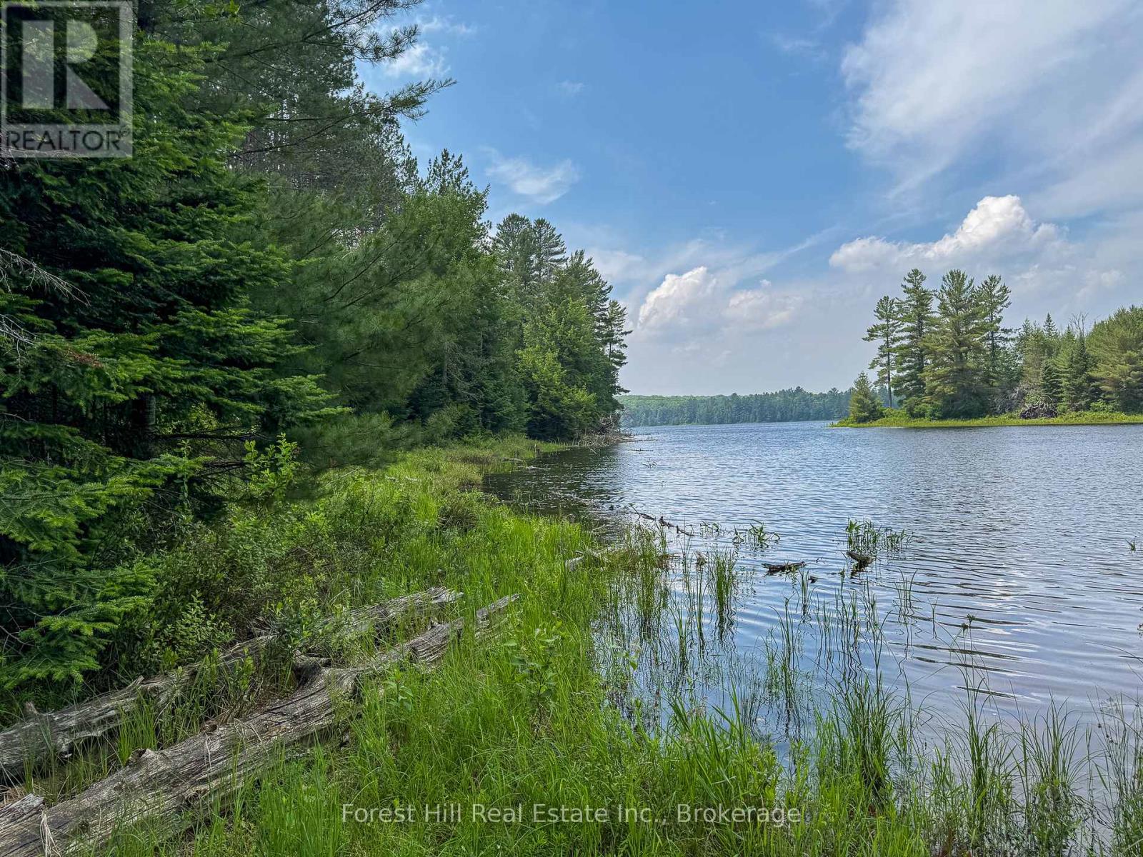 1130 Chetwynd Road, Armour, Ontario  P0A 1C0 - Photo 19 - X12292740