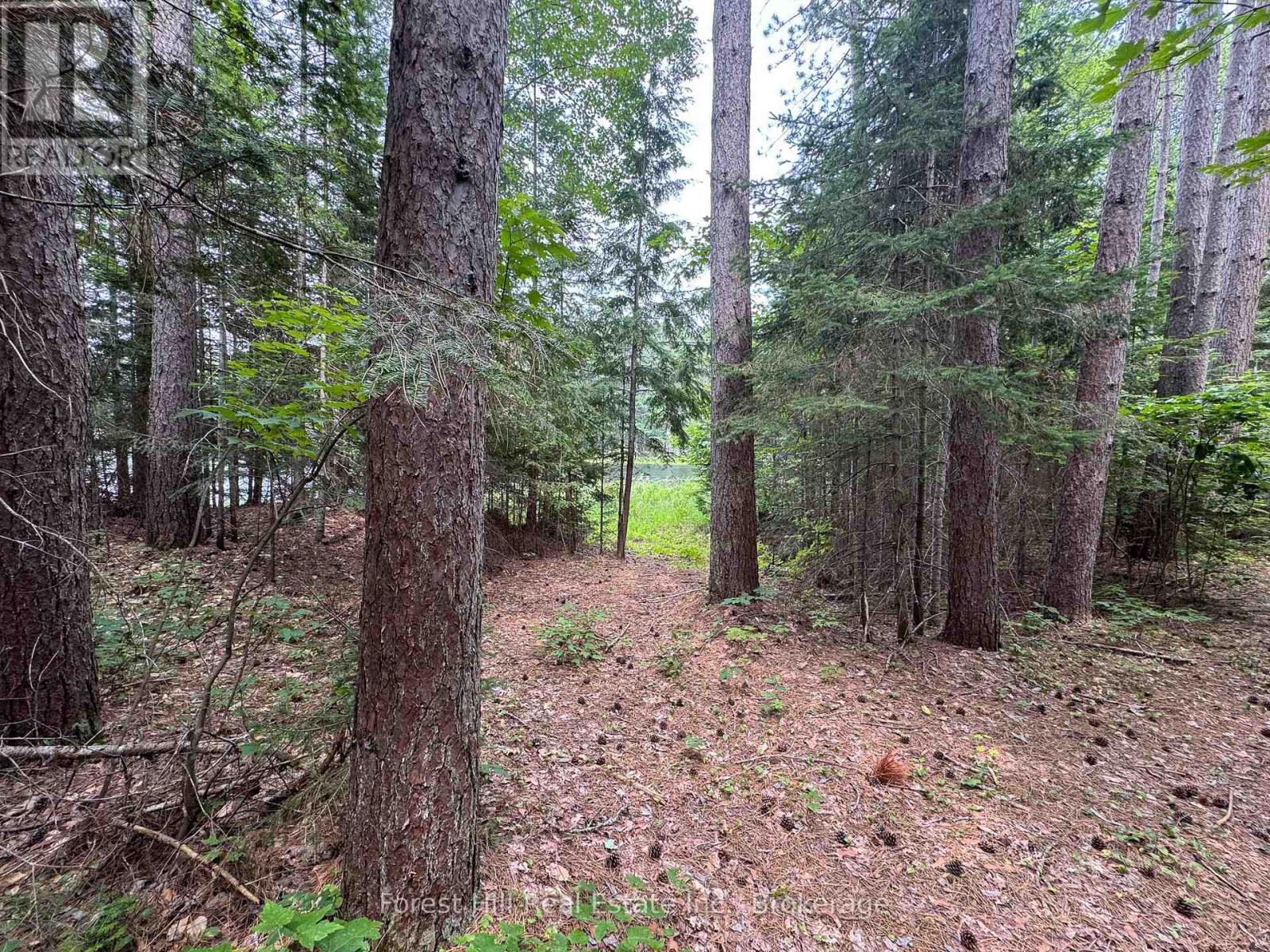 1130 Chetwynd Road, Armour, Ontario  P0A 1C0 - Photo 26 - X12292740