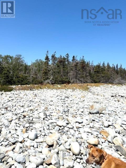 Lot 28 Mcleans Lake Road, Port L'hebert, Nova Scotia  B0T 1V0 - Photo 6 - 202521866