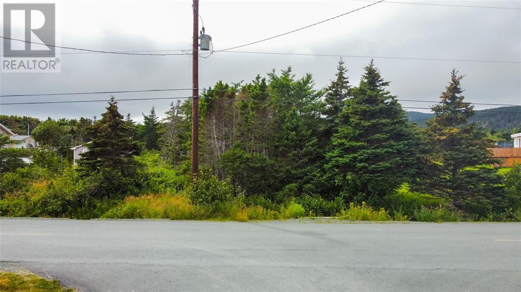 809-811 Main Road, Pouch Cove, Newfoundland & Labrador  A0A 3L0 - Photo 11 - 1289764