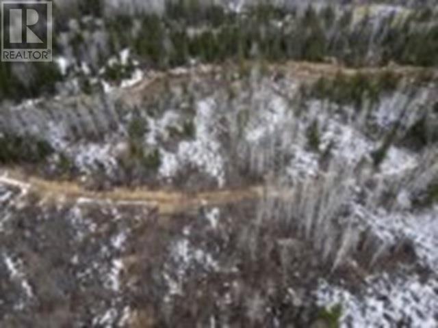 0 Hwy 61, Neebing, Ontario  P7L 0B1 - Photo 13 - TB250860