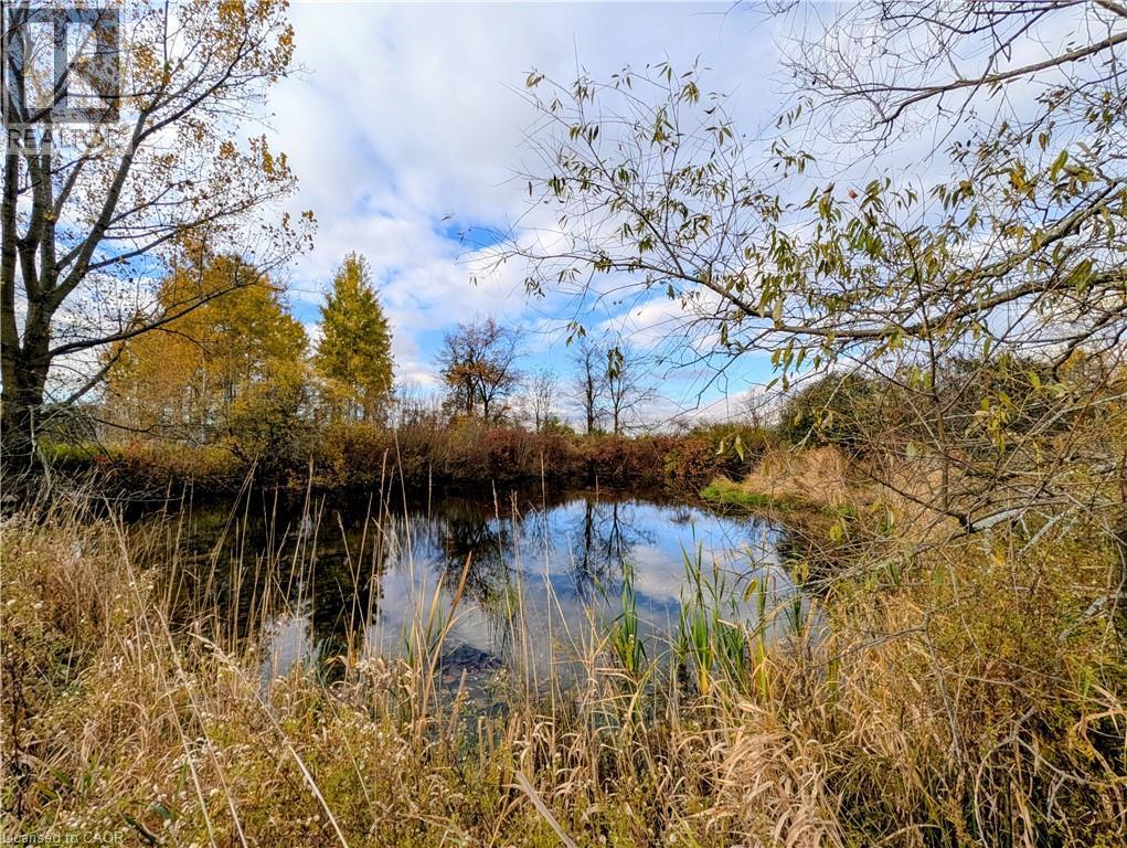 1374 5th Concession Road West, Flamborough, Ontario  L0R 2H2 - Photo 42 - 40763731