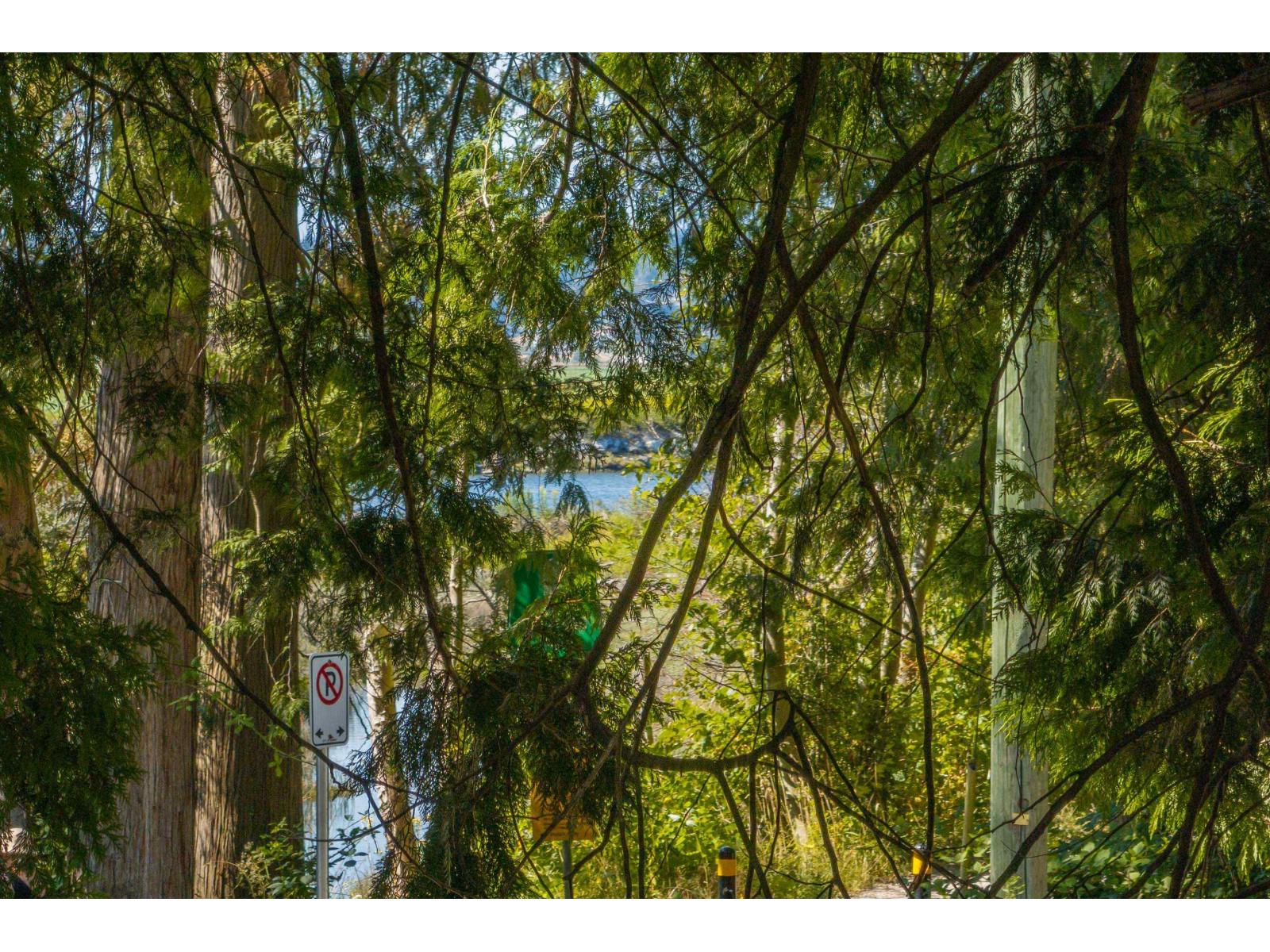 13937 35a Avenue, Surrey, British Columbia  V4P 1L2 - Photo 37 - R3031647