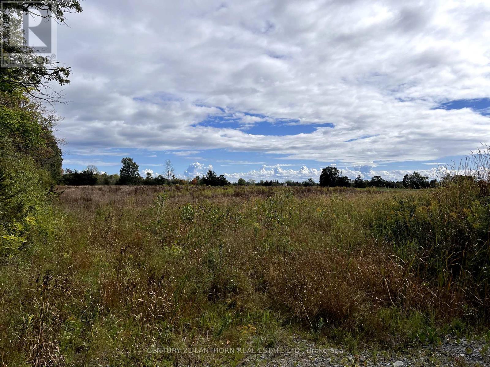 811 Black Road, Prince Edward County, Ontario  K0K 1W0 - Photo 4 - X12369133