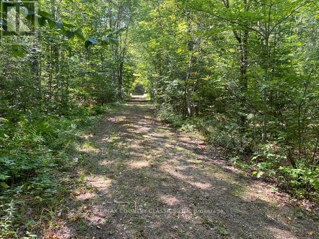 Lt 9 Lower Craigmont Road, Brudenell, Ontario  K0J 1B0 - Photo 10 - X12369212