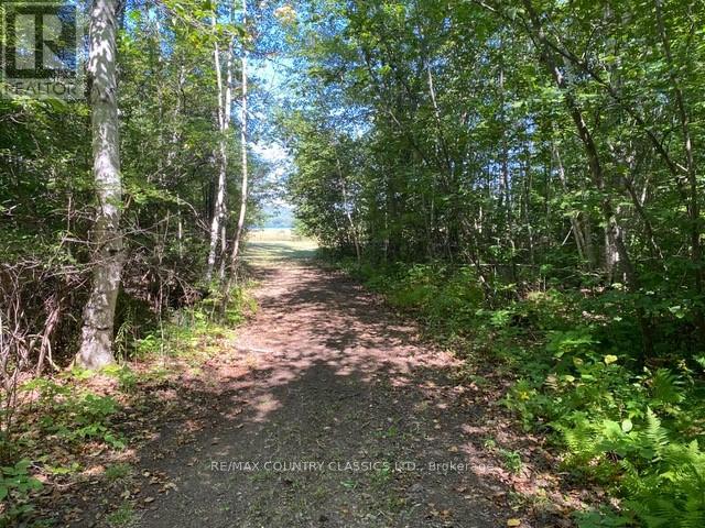 Lt 9 Lower Craigmont Road, Brudenell, Ontario  K0J 1B0 - Photo 11 - X12369212