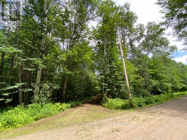 Lt 9 Lower Craigmont Road, Brudenell, Ontario  K0J 1B0 - Photo 14 - X12369212