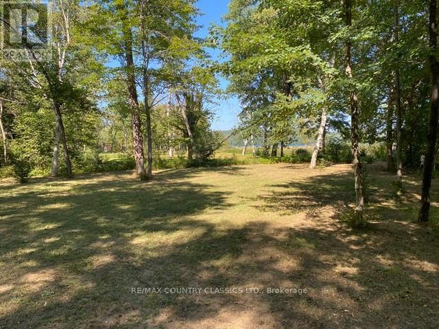 Lt 9 Lower Craigmont Road, Brudenell, Ontario  K0J 1B0 - Photo 7 - X12369212