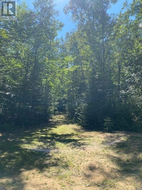 Lt 9 Lower Craigmont Road, Brudenell, Ontario  K0J 1B0 - Photo 9 - X12369212