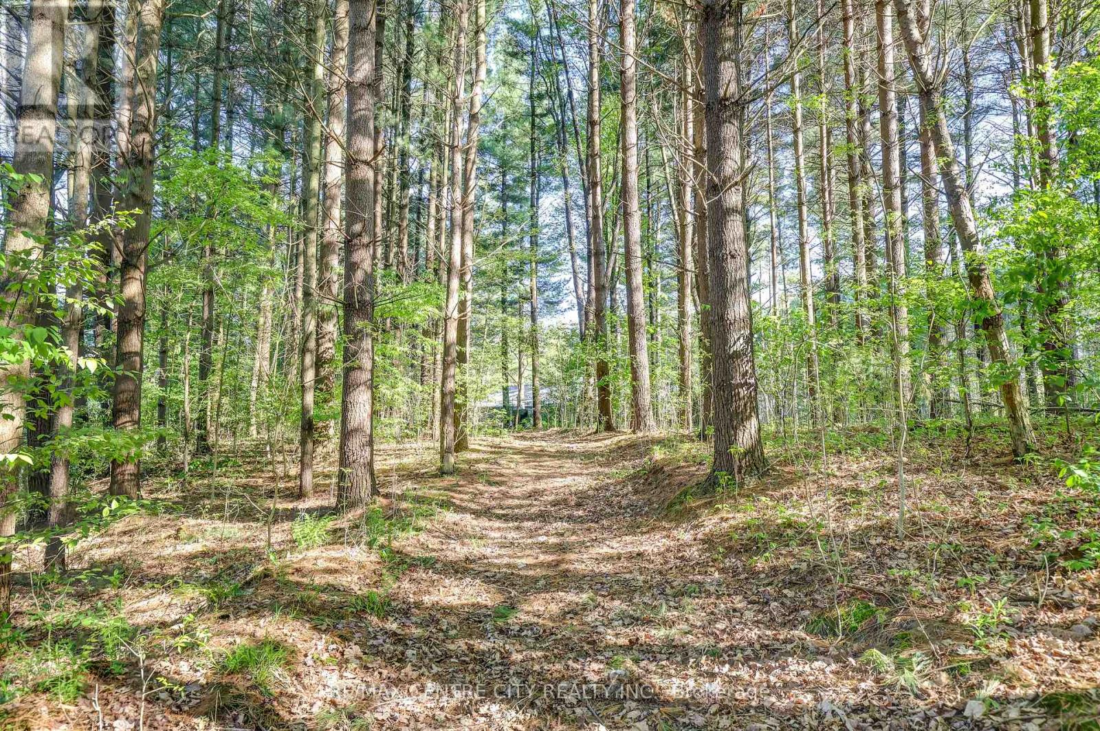 35035 Lake Line, Southwold, Ontario  N5L 1J1 - Photo 18 - X12369386