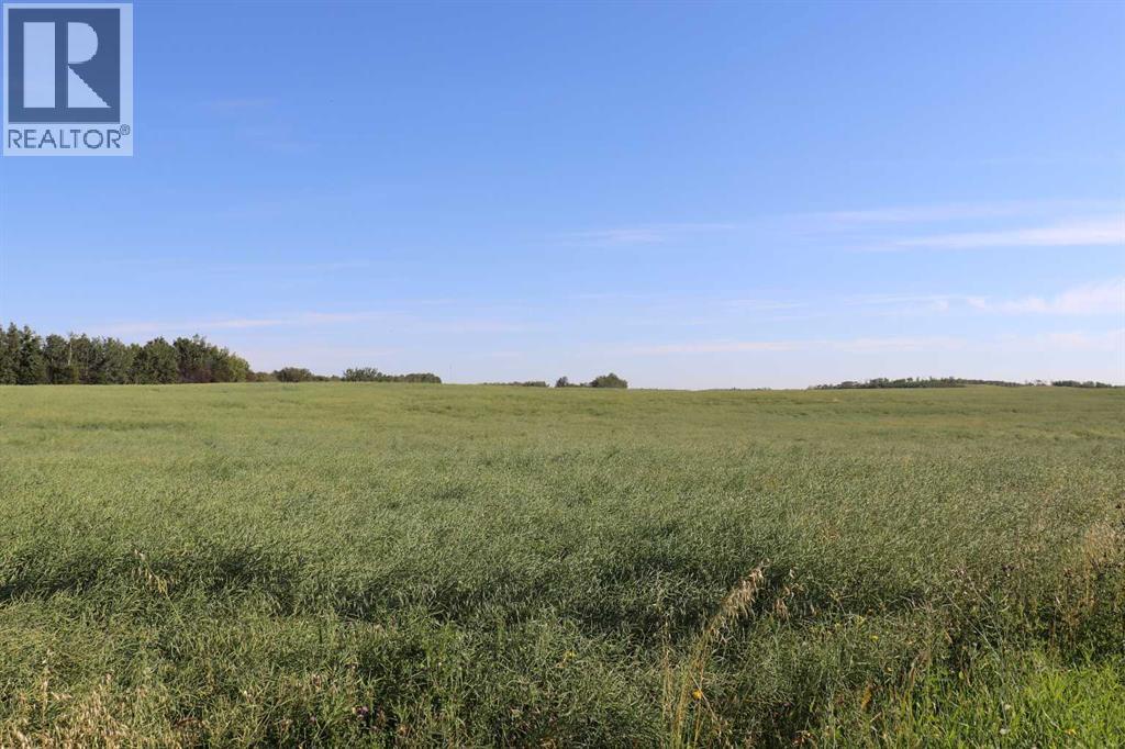 On Township Road 421, Rural Camrose County, Alberta  T0B 0H0 - Photo 3 - A2252169