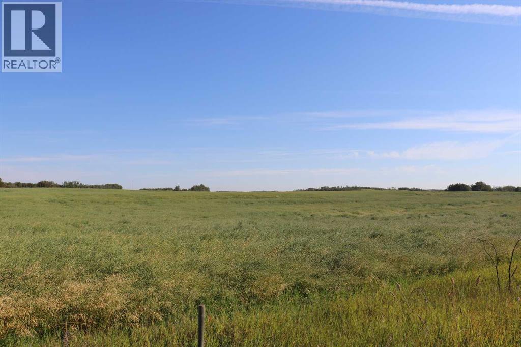 On Township Road 421, Rural Camrose County, Alberta  T0B 0H0 - Photo 6 - A2252169