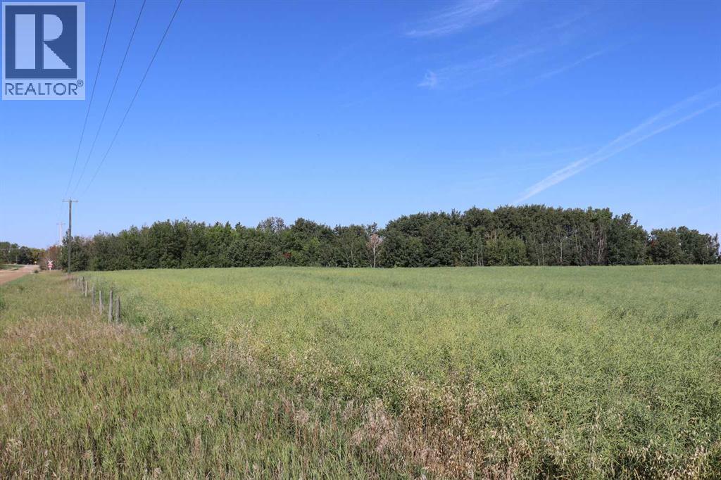 On Township Road 421, Rural Camrose County, Alberta  T0B 0H0 - Photo 5 - A2252169