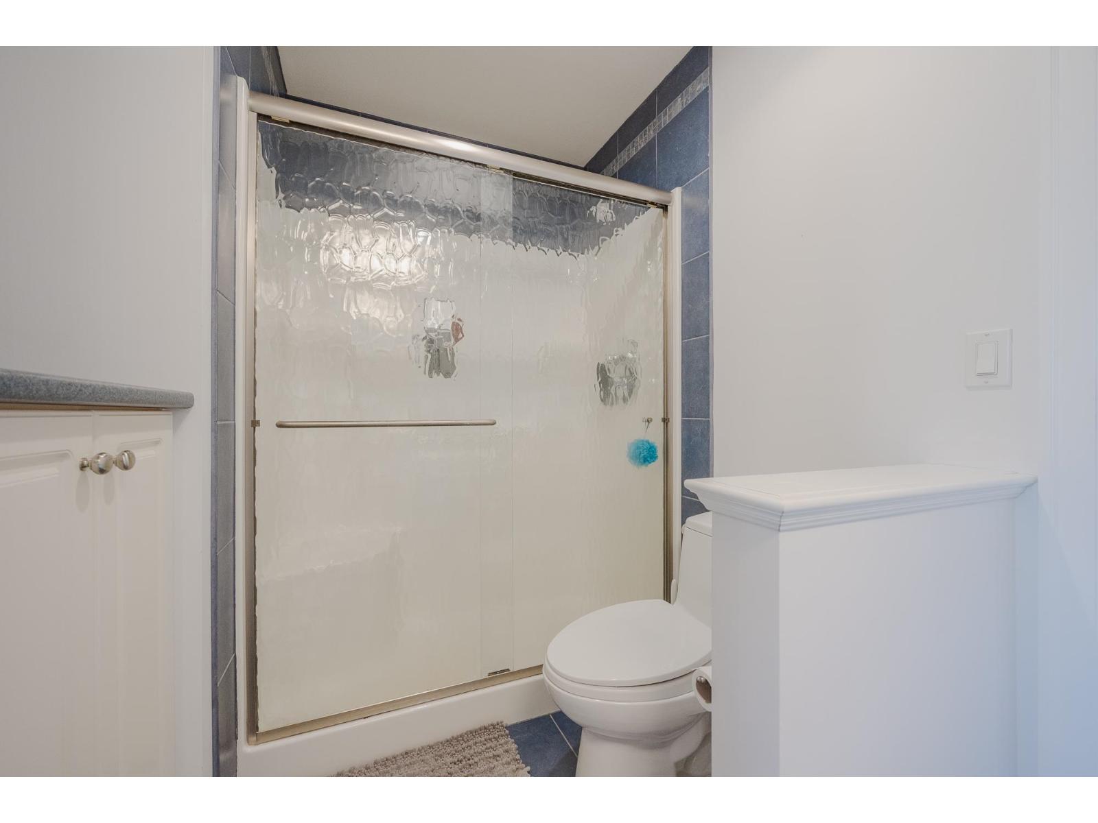 6648 181 Street, Surrey, British Columbia  V3S 9A2 - Photo 29 - R3041042