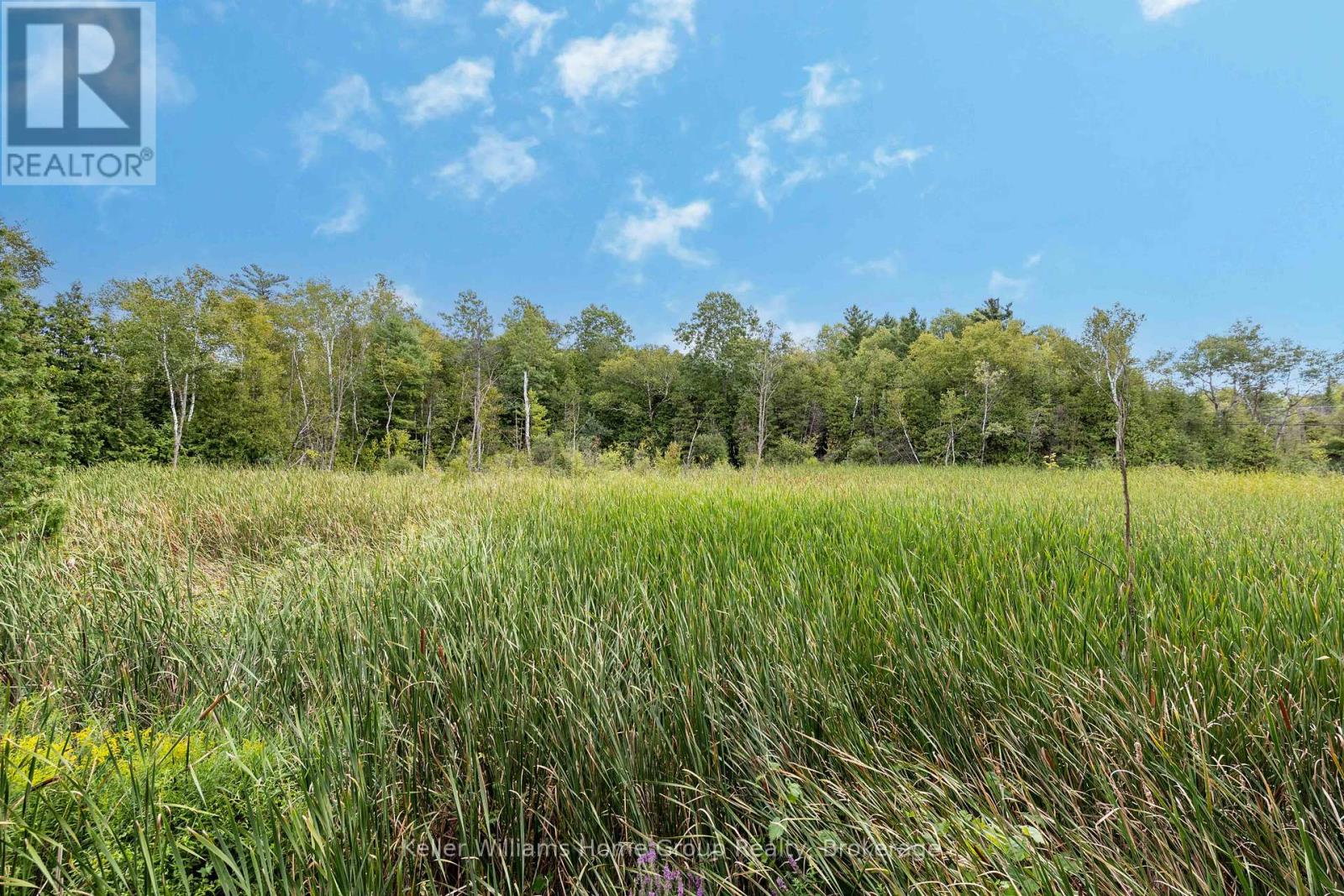 30 - 1085 10th Concession Road W, Hamilton, Ontario  N0B 2J0 - Photo 26 - X12369456