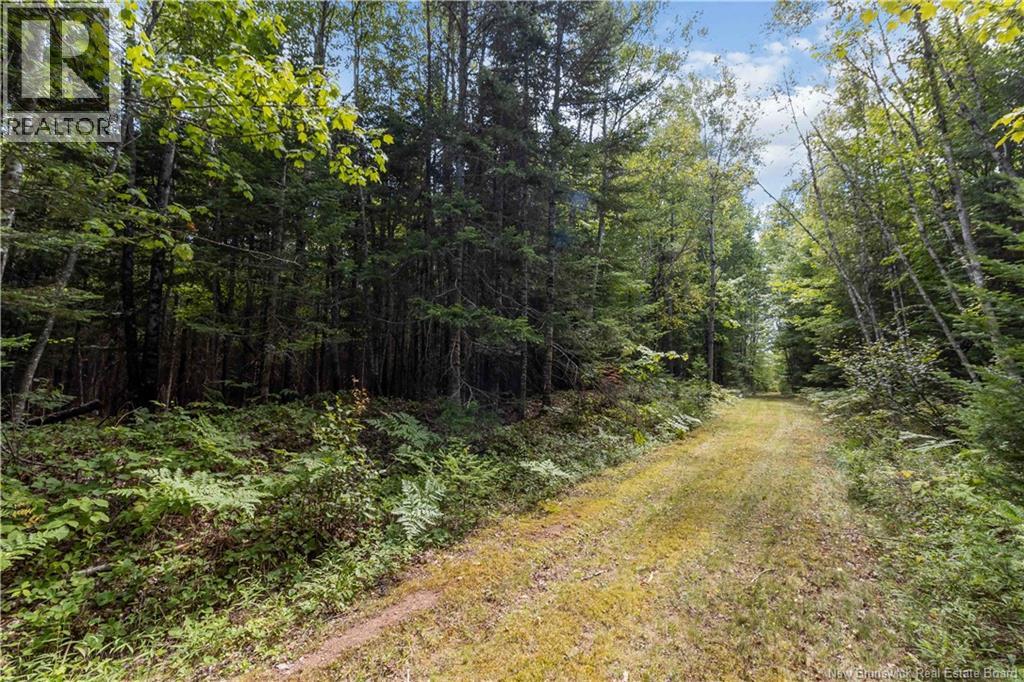 4365 Rte 106, Petitcodiac, New Brunswick  E4Z 3K2 - Photo 46 - NB125649