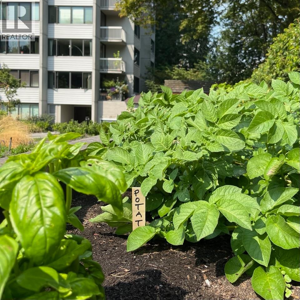 206 1740 Comox Street, Vancouver, British Columbia  V6G 2Z1 - Photo 25 - R3041397