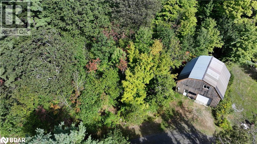 2831 141 Highway, Utterson, Ontario  P0B 1M0 - Photo 4 - 40764509