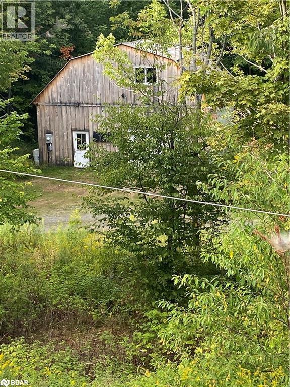 2831 141 Highway, Utterson, Ontario  P0B 1M0 - Photo 18 - 40764509